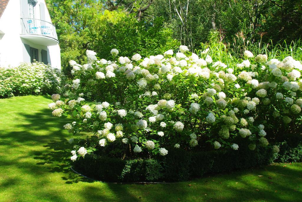 Bed and Breakfast So Touquet Le Touquet Exterior foto